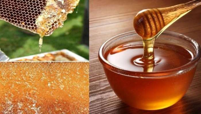 Honey Quality Test: తేనె అసలైందో కాదో ఎలా తెలుసుకోవడం, సులభమైన చిట్కాలు ఇవే