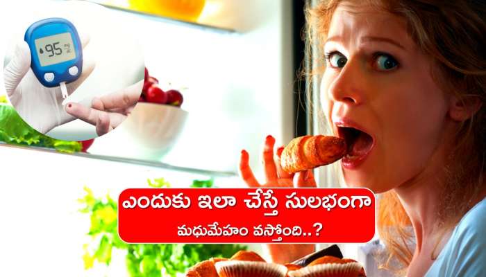  Diabetes Causes: డయాబెటిస్‌ రావడానికి ప్రధాన కారణాలు ఇవేనా.. ఎందుకు ఇలా చేస్తే సులభంగా మధుమేహం వస్తోంది..?