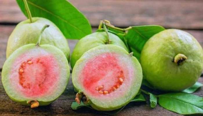 Guava Benefits: మలబద్ధకం సహా అన్ని సమస్యలకు అద్భుత ఔషధమిదే, కేవలం మూడ్రోజుల్లో మటుమాయం