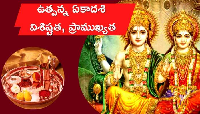 Utpanna Ekadashi 2022:  ఉత్పన్న ఏకాదశి విశిష్టత, ప్రాముఖ్యత.. ఇలా వ్రతాలు చేస్తే జీవితమంతా సుఖ సంతోషాలే..!