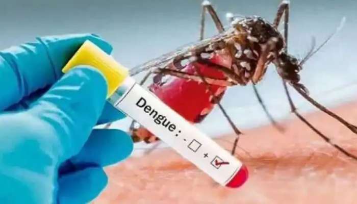 Dengue Symptoms: డెంగ్యూ లక్షణాలు ఎలా ఉంటాయి. ఎలాంటి జాగ్రత్తలు తీసుకోవాలి