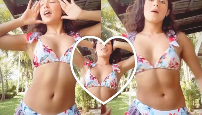Samyuktha Hegde Bikini Video : వామ్మో ఇదేం ఊపడం సామీ.. బికినీలో సంయుక్త హెగ్డే సందడి.. వీడియో వైరల్