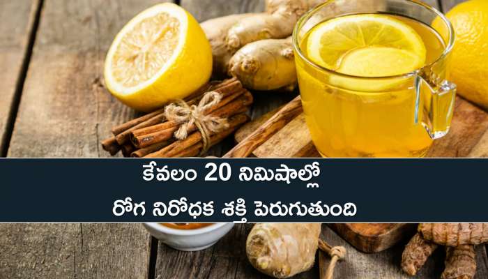 Immune System Boost Tips: ఇది తాగితే కేవలం 20 నిమిషాల్లో రోగ నిరోధక శక్తి పెరుగుతుంది..అవును నిజం..