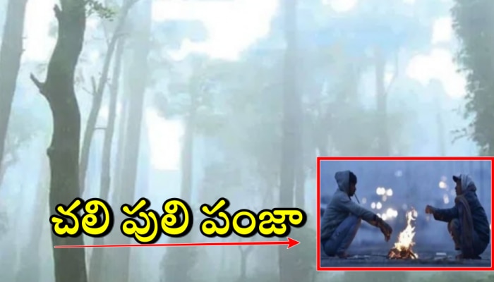 Weather updates: చుక్కల చూపిస్తున్న చలి.. తెలుగు రాష్ట్రాల్లో భారీగా పడిపోతున్న ఉష్ణోగ్రతలు..