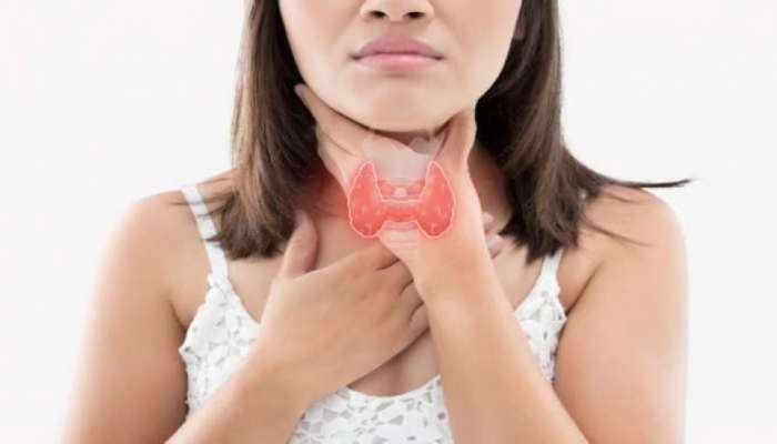 Thyroid care Tips: థైరాయిడ్ నియంత్రణలో అద్భుతమైన 4 డ్రింక్స్