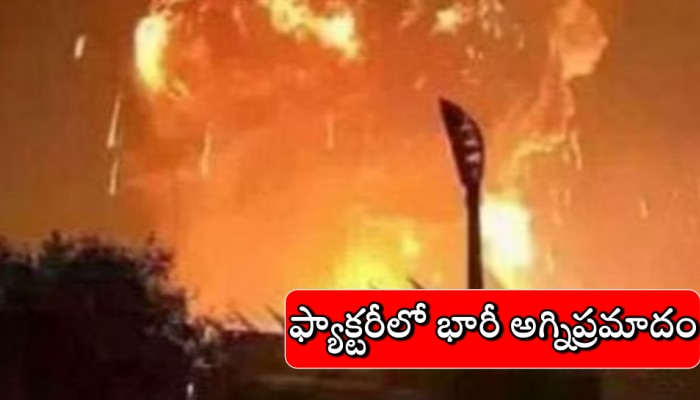 China Fire Accident: ఫ్యాక్టరీలో భారీ అగ్నిప్రమాదం... 36 మంది కార్మికులు దుర్మరణం..