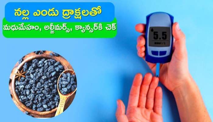 Black Raisins Benefits: శాశ్వతంగా మధుమేహం, అల్జీమర్స్, క్యాన్సర్, గుండె సమస్యలకు నల్ల ఎండు ద్రాక్షలతో చెక్‌..