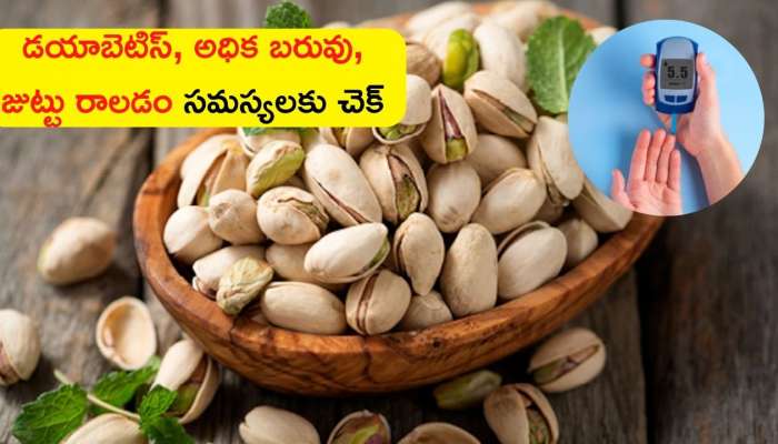 Pistachio Benefits: Eat Pistachios In Food Can Reduce Diabetes Weight Loss And Hair Loss In 10 Days | Pistachio Benefits: పిస్తా పలుకులతో డయాబెటిస్, అధిక బరువు, జుట్టు రాలడం సమస్యలకు ... Pistachio Benefits: Eat Pistachios In Food Can Reduce Diabetes Weight Loss And Hair Loss In 10 Days | Pistachio Benefits: పిస్తా పలుకులతో డయాబెటిస్, అధిక బరువు, జుట్టు రాలడం సమస్యలకు ...