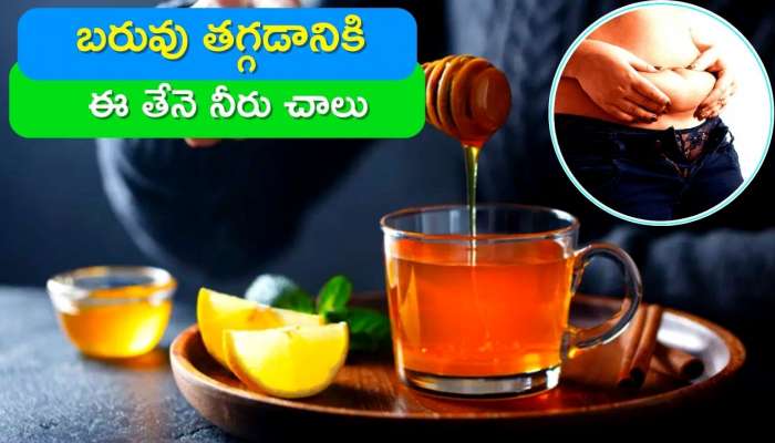 Honey For Weight Loss: బరువు తగ్గడానికి ఈ తేనె నీరు చాలు.. ఇప్పుడే ఇలా ట్రై చేయండి..