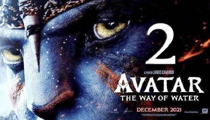 Avatar 2 Movie: ఆ రాష్ట్రంలో అవతార్ 2 విడుదల కావడం లేదా, కారణాలేంటి