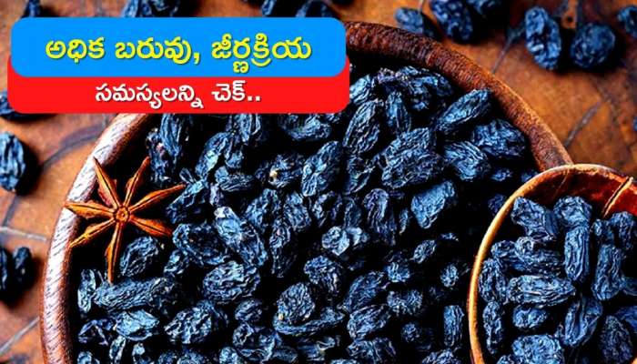 Black Raisins Benefits: ఎండుద్రాక్షతో అధిక బరువు, జీర్ణక్రియ సమస్యలన్నీ చెక్‌.. 