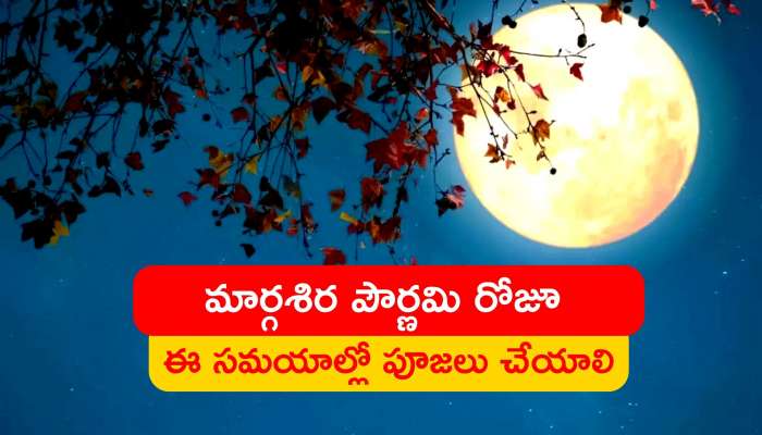 Margashirsha Purnima 2022: మార్గశిర పౌర్ణమి రోజూ ఈ సమయాల్లో పూజలు చేయాల్సి ఉంటుంది.. ఎందుకో తెలుసా..?