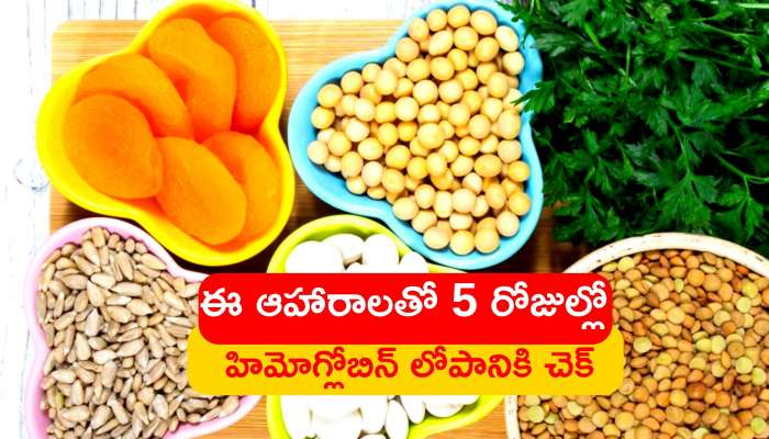 Hemoglobin Increase: ఎలాంటి ఖర్చు లేకుండా ఈ ఆహారాలతో 5 రోజుల్లో హిమోగ్లోబిన్ లోపానికి చెక్‌..