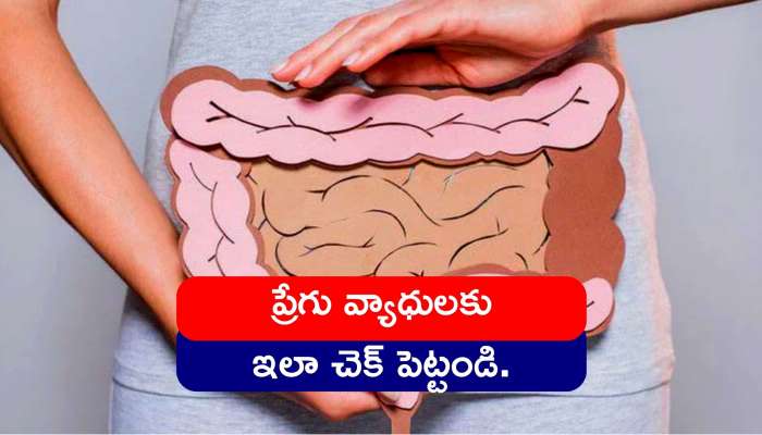 Unhealthy Intestine: జీర్ణక్రియ బలంగా ఉండడాకిని ప్రేగు వ్యాధులకు ఇలా చెక్‌ పెట్టండి..