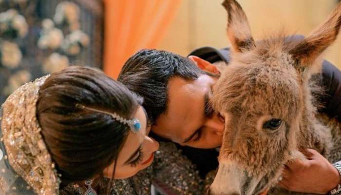 Donkey Gift Viral Video: మండపంలో భార్యకి సర్‌ప్రైజ్ గిఫ్ట్ ఇచ్చిన భర్త.. షాక్ తిన్న బంధువులు!
