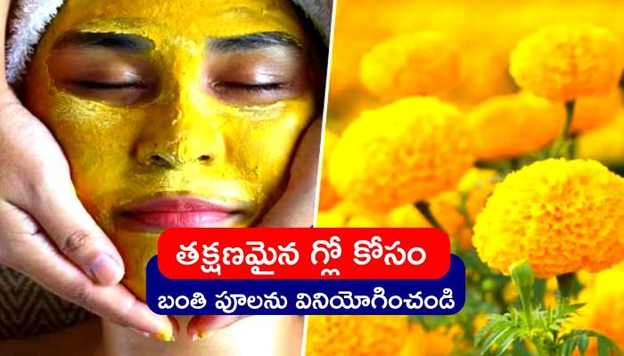 Marigold Flower Benefits: చర్మంపై  తక్షణమైన గ్లో కోసం బంతి పూలను ఇలా ఉపయోగించండి..