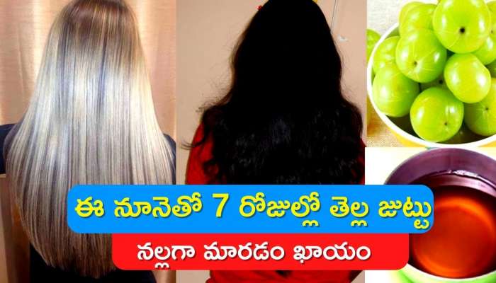 Black Hair Home Remedies: ఎలాంటి ఖర్చు లేకుండా ఈ నూనెతో 7 రోజుల్లో తెల్ల జుట్టు నల్లగా మారడం ఖాయం.. 