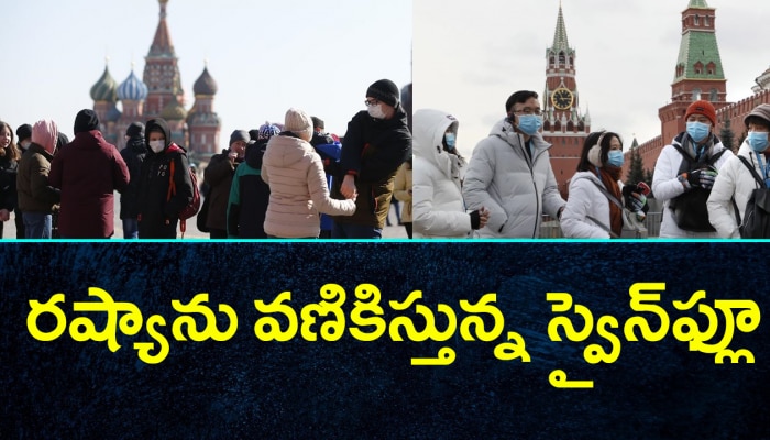 Massive swine flu outbreak in russia
