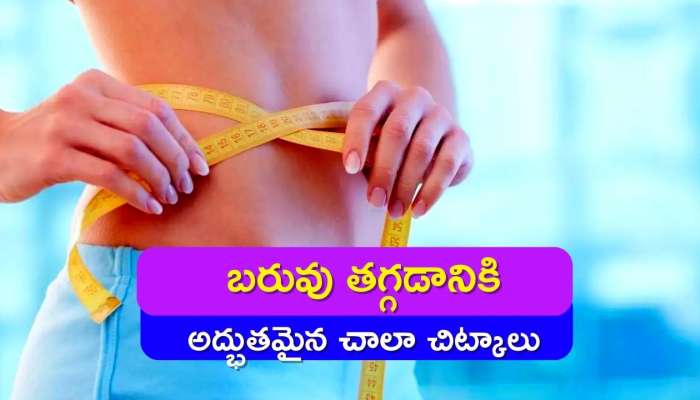 How To Lose Weight: చాలా మంది ఎలాంటి చిట్కాలతో బరువు తగ్గారో తెలుసా..? 