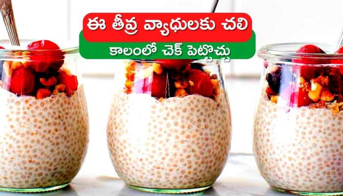  Benefit Of Chia Seeds: చియా గింజలతో ఈ తీవ్ర వ్యాధులకు చలి కాలంలో చెక్‌ పెట్టొచ్చు..