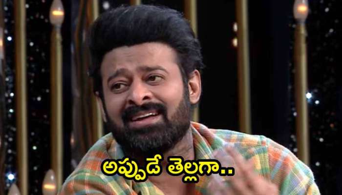 Prabhas Beard: తెల్లబడిన ప్రభాస్ గెడ్డం.. అన్ స్టాపబుల్ ప్రోమోలో అలా బయటపడిందా?