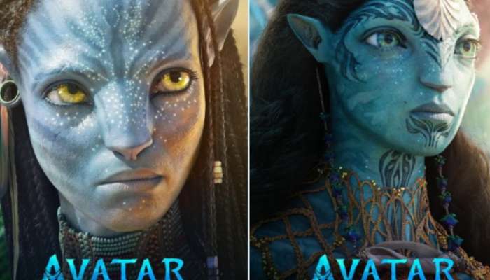 Avatar 2 Box Office Collections : అవతార్ 2 సునామీ.. కలెక్షన్లు చూస్తే కచ్చితంగా షాక్ అవుతార్