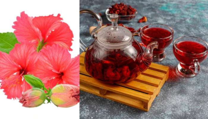 Hibiscus Tea Health Benefits: మందార టీ ఆరోగ్యానికి ఓ వరం.. చలికాలంలో తాగితే అద్భుతమైన ప్రయోజనాలు! బరువు తగ్గడమే కాదు