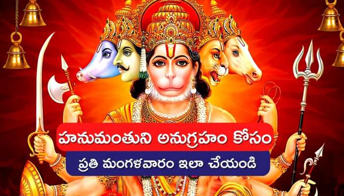 Tuesday Remedies: ప్రతి మంగళవారం ఇలా చేస్తే.. జీవితంలో ఉన్నత శిఖరాలకు ఎదగడం ఖాయం..