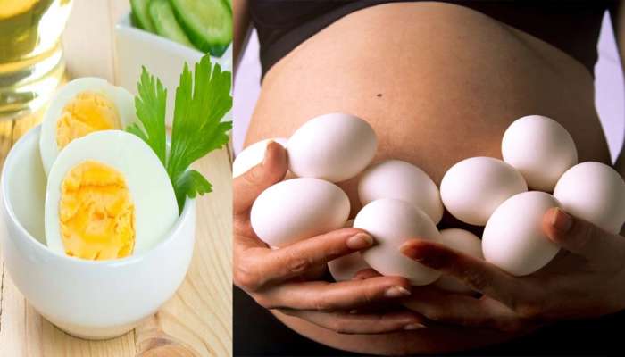 Eggs in Pregnancy: ప్రెగ్నెన్సీలో గుడ్లు తినవచ్చా లేదా, ఎలా తినాలి