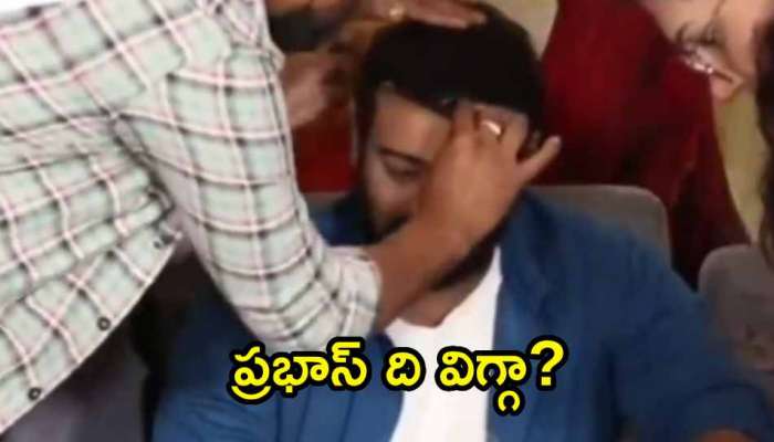 Prabhas Wig: ప్రభాస్ ది కూడా విగ్గేనా.. అసలు విషయం ఏంటంటే?