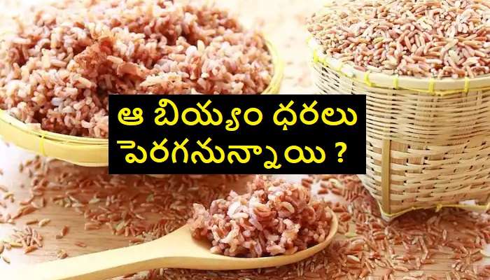 5% GST on Rice: ఆ బియ్యంపై 5 శాతం జిఎస్టీ విధింపు