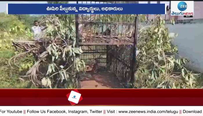 Cheetah traped in bone at sri venkateswara university in tirupati