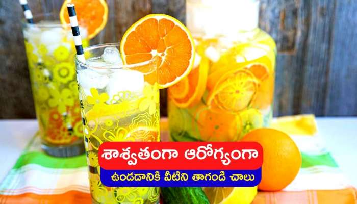 Benefits Of Detox Water: శాశ్వతంగా ఆరోగ్యంగా ఉండడానికి పాటించాల్సిన చిట్కాలు ఇవే.. ఇలా చేస్తే చాలు..