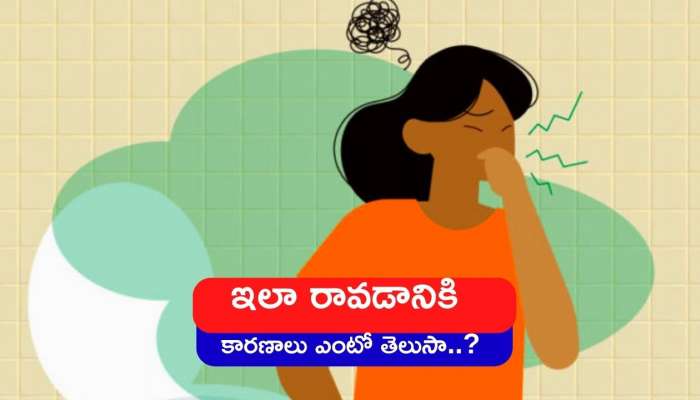 Urine Odor: మూత్రం తరచుగా వాసన వస్తోందా.. ఇలా రావడానికి కారణాలు ఎంటో తెలుసా..?