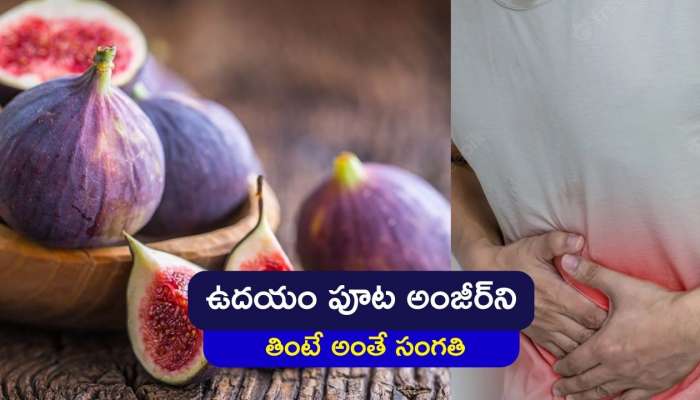 Anjeer Side Effects: ఉదయం పూట అంజీర్‌ని ఇలా తింటున్నారా.. అయితే ఈ తీవ్ర అనారోగ్య సమస్యలు తప్పవు..!