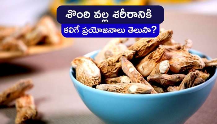 Dry Ginger Benefits: శొంఠిని ప్రతి ఉదయం ఇలా వినియోగిస్తే.. జీవితంలో ఎలాంటి వ్యాధులు రావు..