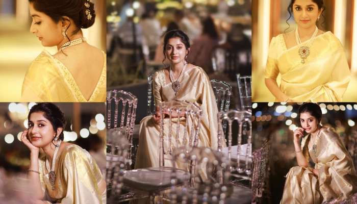 Meera Jasmine Saree Pics : మీరా 'జాస్మిన్' లాంటి అందం.. చీరకట్టుకే కొత్తదనం వచ్చిందా?