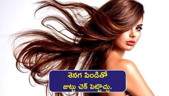  Hair Care Tips: జుట్టు సమస్యలేవైనా.. ఇలా శెనగ పిండితో చెక్‌ పెట్టొచ్చు..