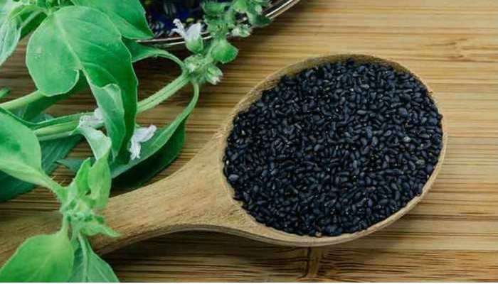 Tulsi Seeds Benefits: తులసి గింజల ప్రయోజనాలు తెలిస్తే..జీవితంలో వదిలిపెట్టరు