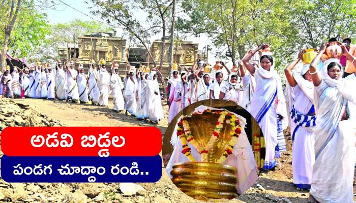 Nagoba Jatara 2023: అడవి బిడ్డల పండగ చూద్దాం రండి.. నేటి నుంచే నాగోబా జాతర ప్రారంభం..