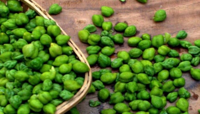 Green Chickpeas Benefits: శీతాకాలంలో పచ్చి శెనగను తినడం వల్ల కలిగే అద్భుత ప్రయోజనాలేంటో తెలుసా?