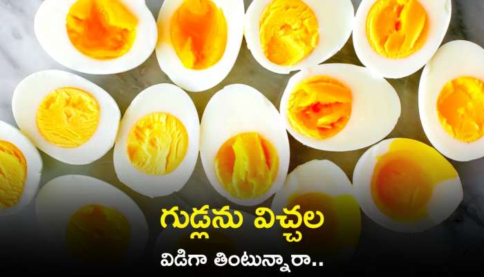 Side Effects Of Eggs: గుడ్లను విచ్చల విడిగా తింటున్నారా.. ఇక అంతే సంగతి..