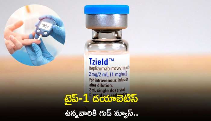 Tzield For Type 1 Diabetes: టైప్-1 డయాబెటిస్‌ ఉన్నవారికి గుడ్‌ న్యూస్‌.. త్వరలోనే మార్కెట్‌కి  Tzield Drug..