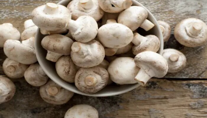 Mushrooms Benefits: పుట్టగొడుగులతో పుట్టెడు లాభాలు.. అవేంటో తెలిస్తే ఇప్పుడే తినడం మెుదలుపెడతారు..