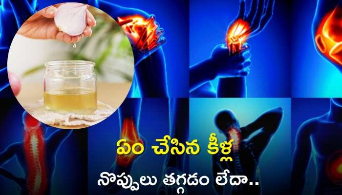 Onion Oil For Joint Pains: ఏం చేసిన కీళ్ల నొప్పులు తగ్గడం లేదా.. ఇలా 7 రోజుల్లో ఉపశమనం పొందండి..