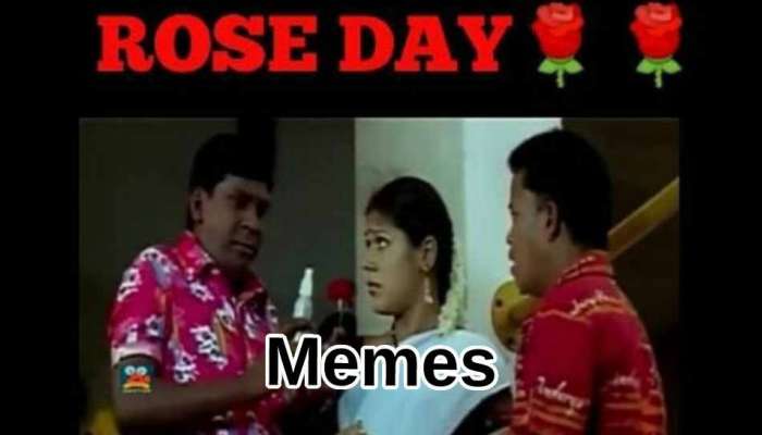 Rose Day memes: రోజ్ డే నాడు సోషల్ మీడియాలో వైరలవుతున్న మీమ్స్ చూశారా?