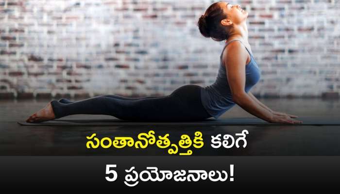 Female Fertility: యోగా వల్ల సంతానోత్పత్తికి  కలిగే 5 ప్రయోజనాలు!