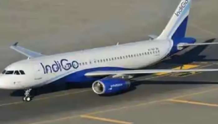 Indigo Airlines: ఇండిగో ఎయిర్‌లైన్స్ పొరపాటు.. 37 మంది ప్రయాణికుల లగేజీ మిస్సింగ్