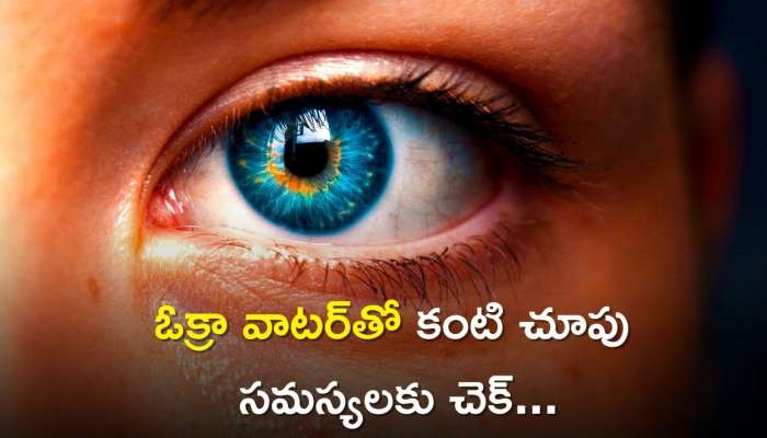 Eye Sight: ఎలాంటి ఖర్చు లేకుండా ఓక్రా వాటర్‌తో 50 రోజుల్లో కంటి చూపు సమస్యలకు చెక్‌.. 