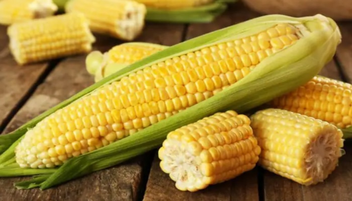 Sweet Corn Benefits: స్వీట్ కార్న్ తినడం వల్ల ఎన్ని లాభాలున్నాయో తెలిస్తే వదలరు!